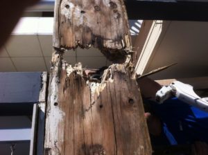 carpentry services sydney