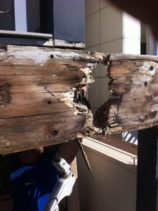 carpentry services sydney